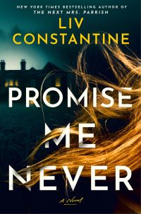 Book Cover for Promise Me Never by Liv Constantine