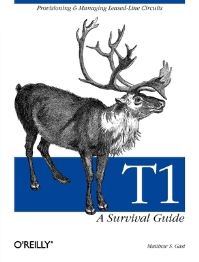 Book Cover for T1 by Matthew Gast