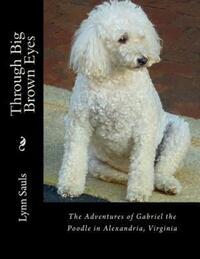 Book Cover for Through Big Brown Eyes by Lynn B Sauls