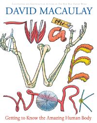 Book Cover for The Way We Work by David Macaulay, Richard Walker