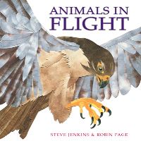Book Cover for Animals in Flight by Robin Page, Steve Jenkins