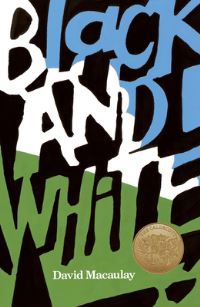 Book Cover for Black and White by David Macaulay