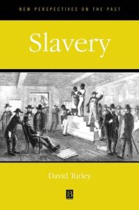 Book Cover for Slavery by David Turley