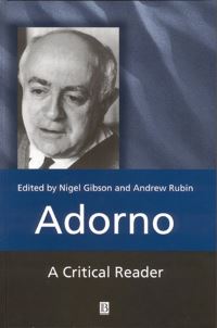 Book Cover for Adorno by Nigel Gibson, Andrew Rubin