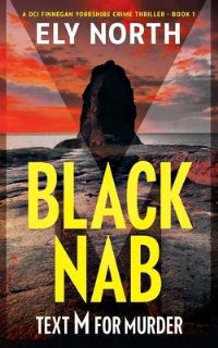 Book Cover for Black Nab by Ely North