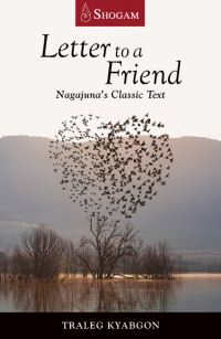 Book Cover for Letter to a Friend by Traleg Kyabgon