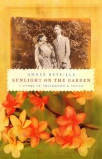Book Cover for Sunlight on the Garden by Andre Beteille