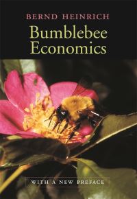 Book Cover for Bumblebee Economics by Bernd Heinrich