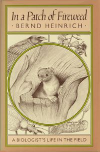 Book Cover for In a Patch of Fireweed by Bernd Heinrich