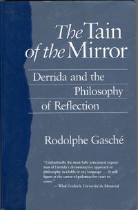 Book Cover for The Tain of the Mirror by Rodolphe Gasché