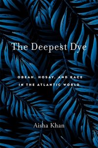 Book Cover for The Deepest Dye by Aisha Khan