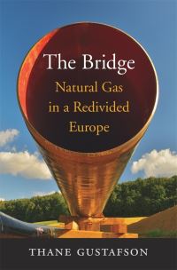 Book Cover for The Bridge by Thane Gustafson