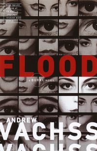 Book Cover for Flood by Andrew H Vachss