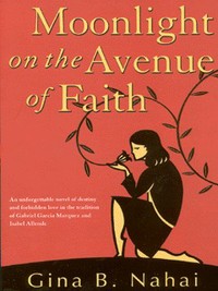 Book Cover for Moonlight on the Avenue of Faith by Gina Barkhordar Nahai