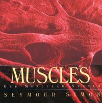 Book Cover for Muscles by Seymour Simon