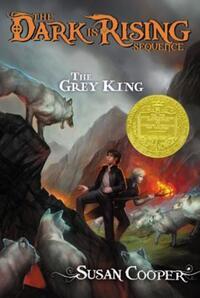 Book Cover for The Grey King by Seymour Simon, Nicole Fauteux