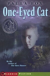 Book Cover for One-Eyed Cat by Paula Fox