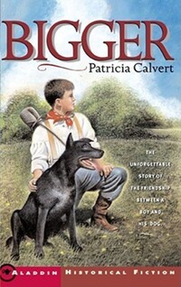 Book Cover for Bigger by Kate Douglas Smith Wiggin