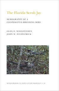 Book Cover for The Florida Scrub Jay by Glen E Woolfenden, John W Fitzpatrick