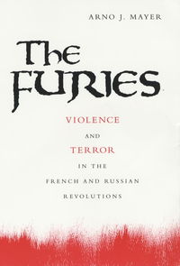 Book Cover for The Furies by Arno J Mayer