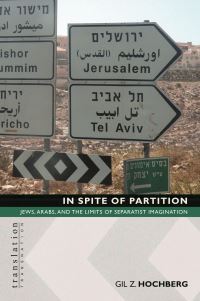 Book Cover for In Spite of Partition by Gil Z. Hochberg