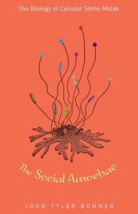 Book Cover for The Social Amoebae by John Tyler Bonner