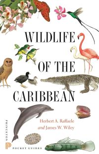 Book Cover for Wildlife of the Caribbean by Herbert A Raffaele, James W Wiley