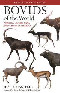 Book Cover for Bovids of the World by José R. Castelló