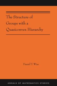 Book Cover for The Structure of Groups With a Quasiconvex Hierarchy by Daniel T Wise