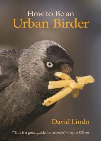 Book Cover for How to Be an Urban Birder by David Lindo, Jamie Oliver