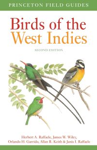 Book Cover for Birds of the West Indies by Herbert A. Raffaele, James W. Wiley, Orlando H. Garrido, Allan R. Keith, Janis I. Raffaele
