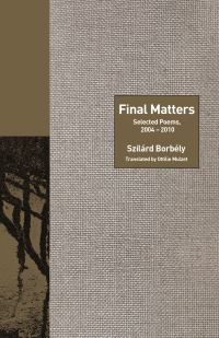 Book Cover for Final Matters by Szilárd Borbély