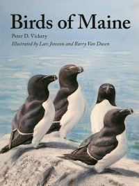 Book Cover for Birds of Maine by Peter D Vickery, Charles D Duncan, William J Sheehan, Jeffrey V Wells