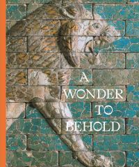 Book Cover for A Wonder to Behold by Anastasia Amrhein, Clare Fitzgerald, Elizabeth Knott