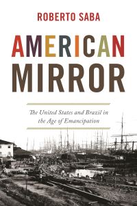 Book Cover for American Mirror by Roberto Saba