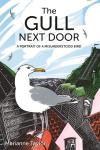 Book Cover for The Gull Next Door by Marianne Taylor
