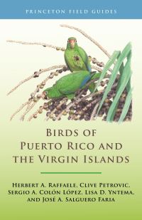 Book Cover for Birds of Puerto Rico and the Virgin Islands by Herbert A. Raffaele