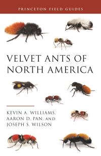 Book Cover for Velvet Ants of North America by Kevin A. Williams, Aaron D. Pan, Joseph S. Wilson