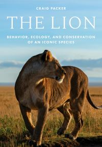 Book Cover for The Lion by Craig Packer