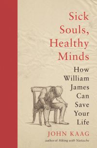 Book Cover for Sick Souls, Healthy Minds by John J Kaag