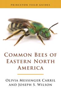 Book Cover for Common Bees of Eastern North America by Olivia Messinger Carril, Joseph S. Wilson