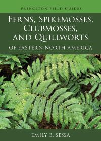 Book Cover for Ferns, Spikemosses, Clubmosses, and Quillworts of Eastern North America by Emily B. Sessa