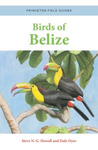 Book Cover for Birds of Belize by Steve N G Howell
