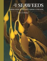 Book Cover for The Lives of Seaweeds by Julie A Phillips