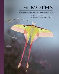 Book Cover for The Lives of Moths by Andrei Sourakov, Rachel Warren Chadd