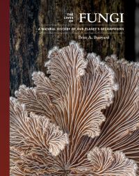 Book Cover for The Lives of Fungi by Britt Allen Bunyard