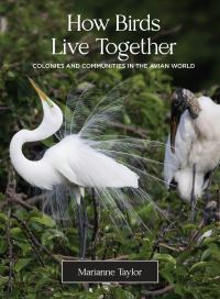 Book Cover for How Birds Live Together by Marianne Taylor