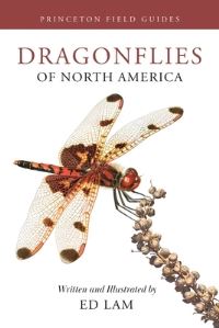 Book Cover for Dragonflies of North America by Ed Lam