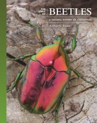 Book Cover for The Lives of Beetles by Arthur V Evans