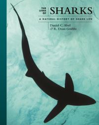 Book Cover for The Lives of Sharks by Daniel C Abel, R Dean Grubbs